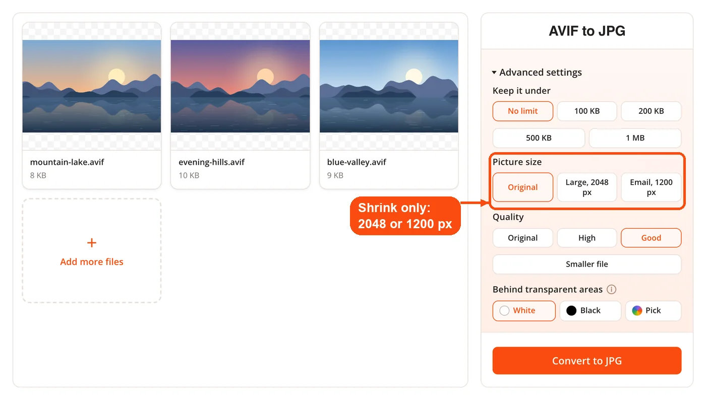 Picture size options for resizing