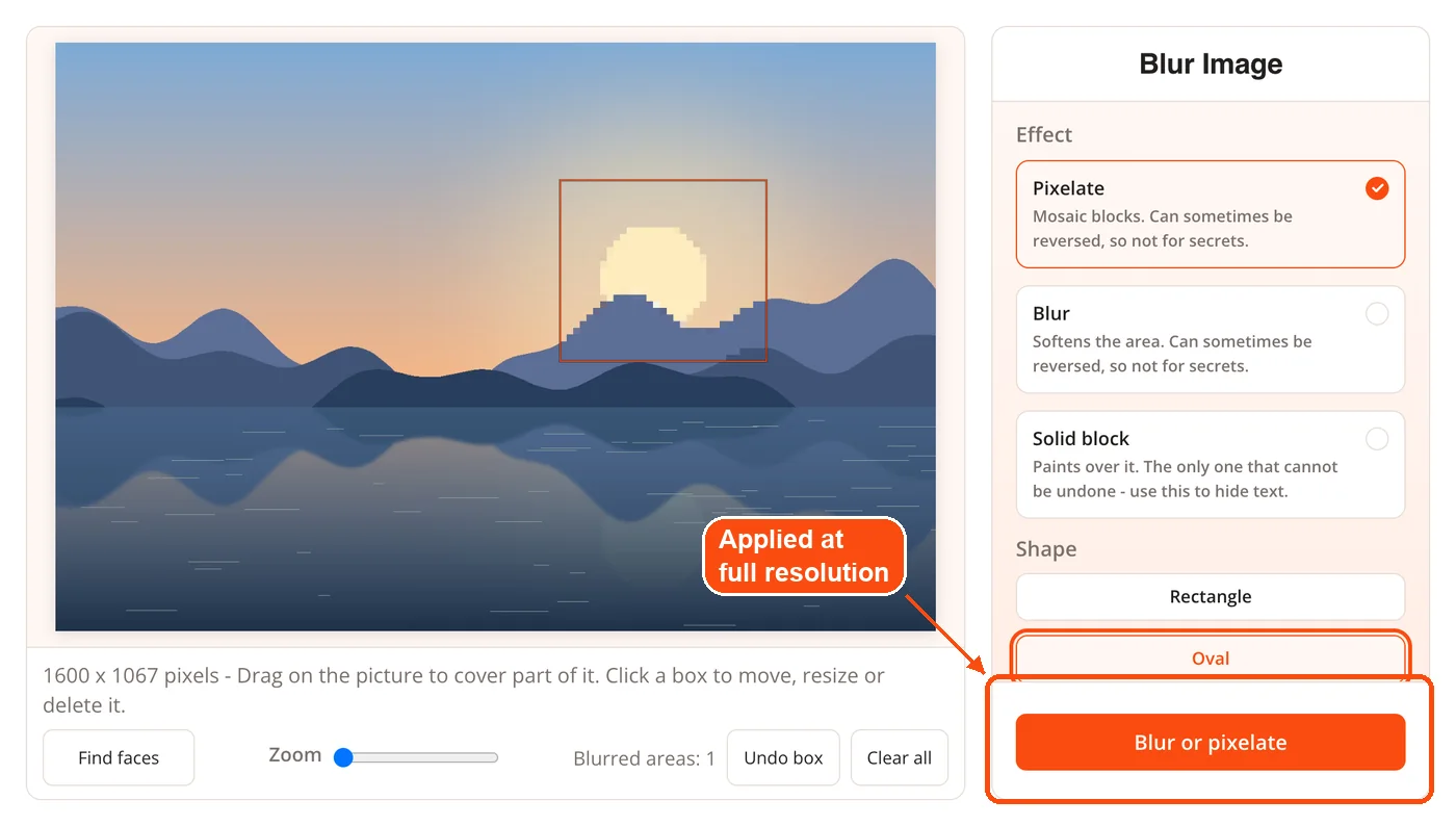Blur or pixelate button