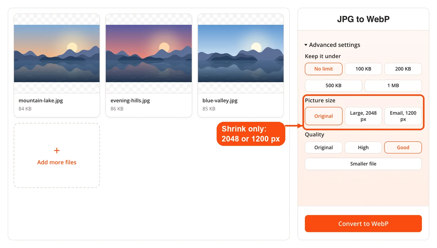 Picture size options for resizing