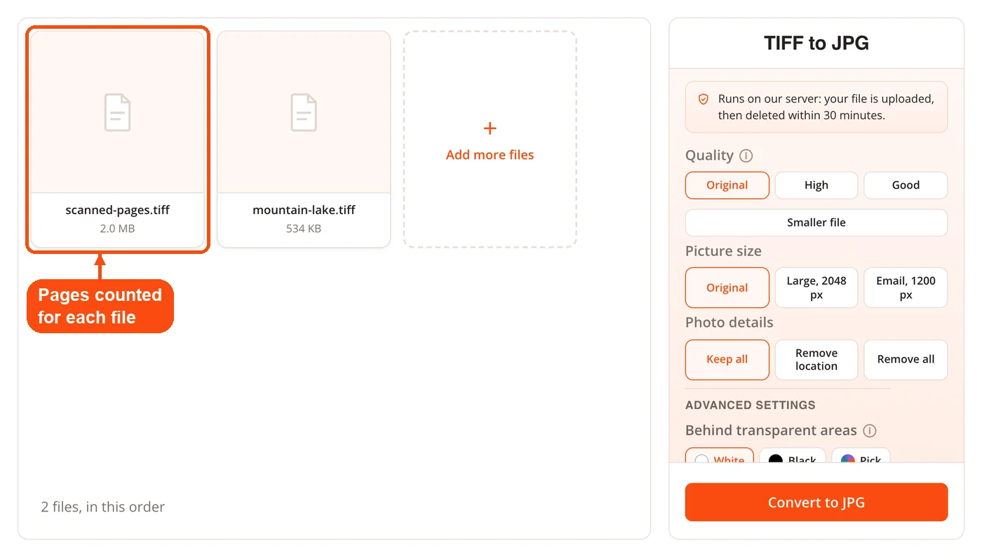 Multi-page TIFF file card