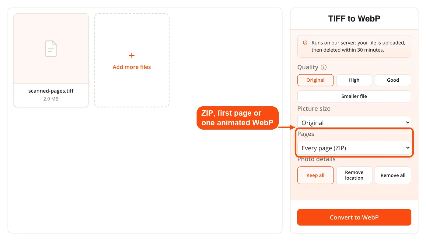 Page options for a multi-page TIFF